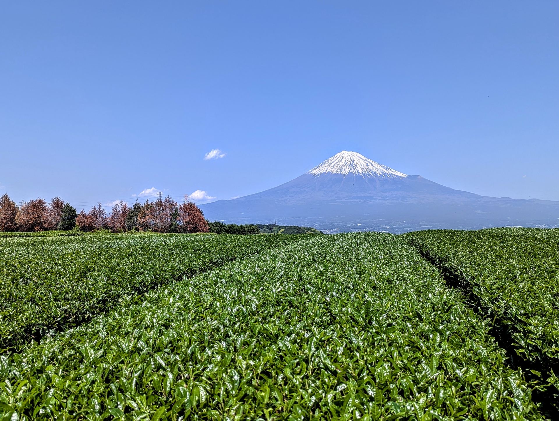 【施工エリア拡大】富士市での家づくりをスタートしました!